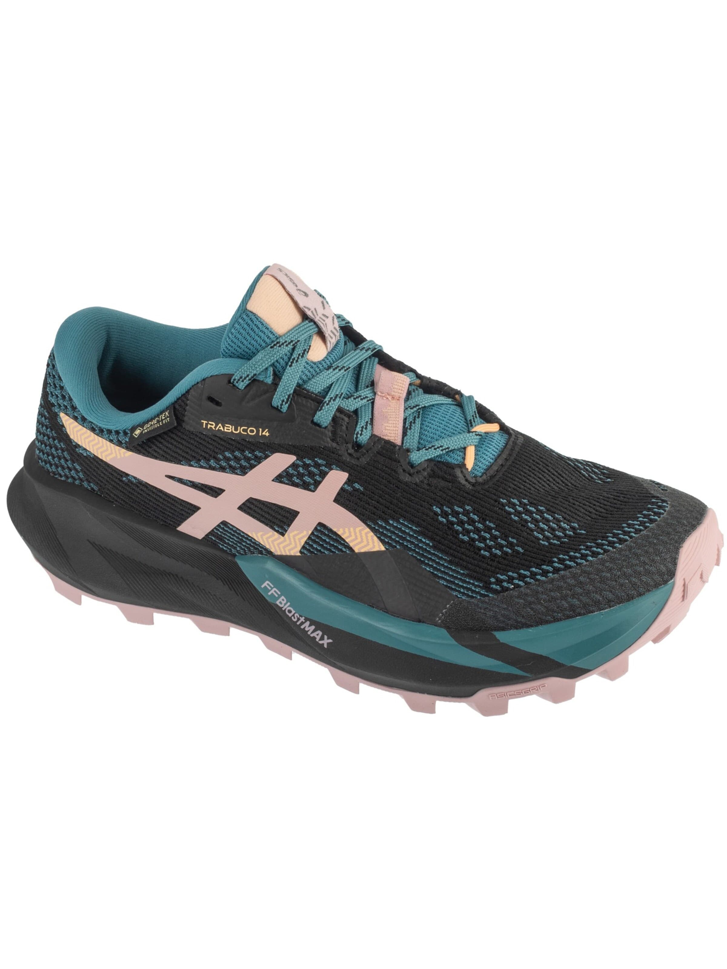 ASICS Running shoe 'Gel-Trabuco 14 GTX' in Black: front