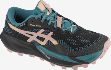 Chaussure de course 'ASICS Gel-Trabuco 14 GTX' ASICS en noir : devant