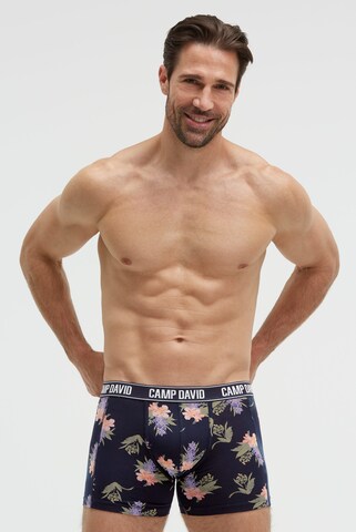 CAMP DAVID Boxer shorts in Mixed colors: front
