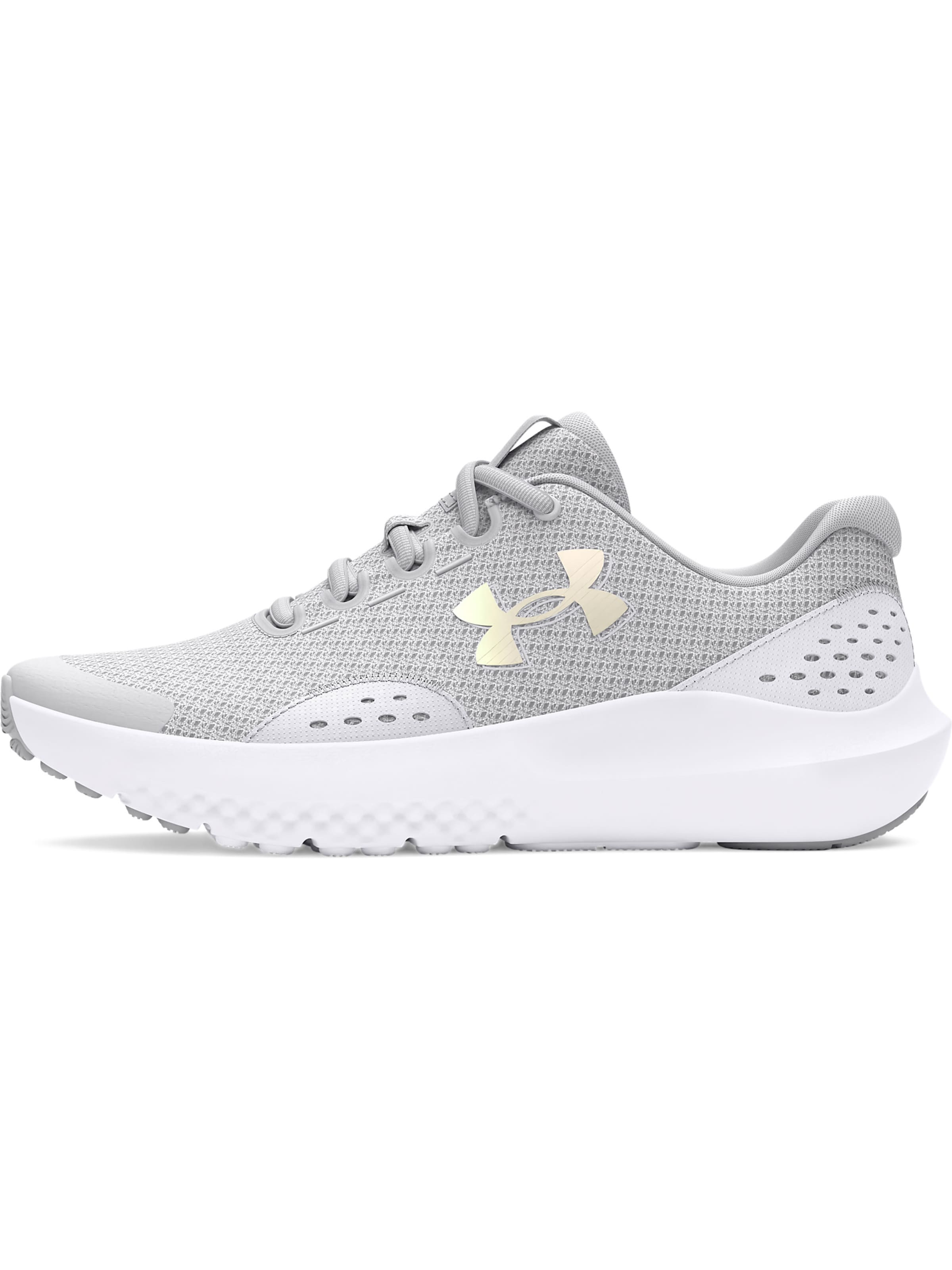 UNDER ARMOUR Athletic Shoes 'GGS  Surge 4' in Grey: front