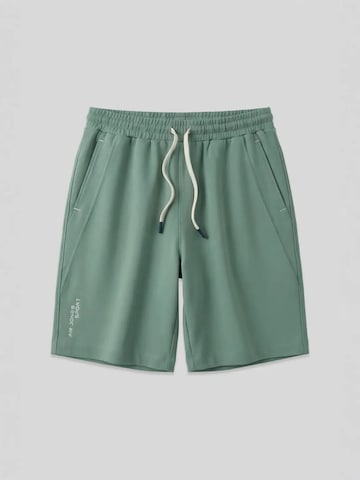 Tommy Life Regular Shorts in Grün