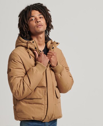 Superdry Between-Season Jacket in Brown: front