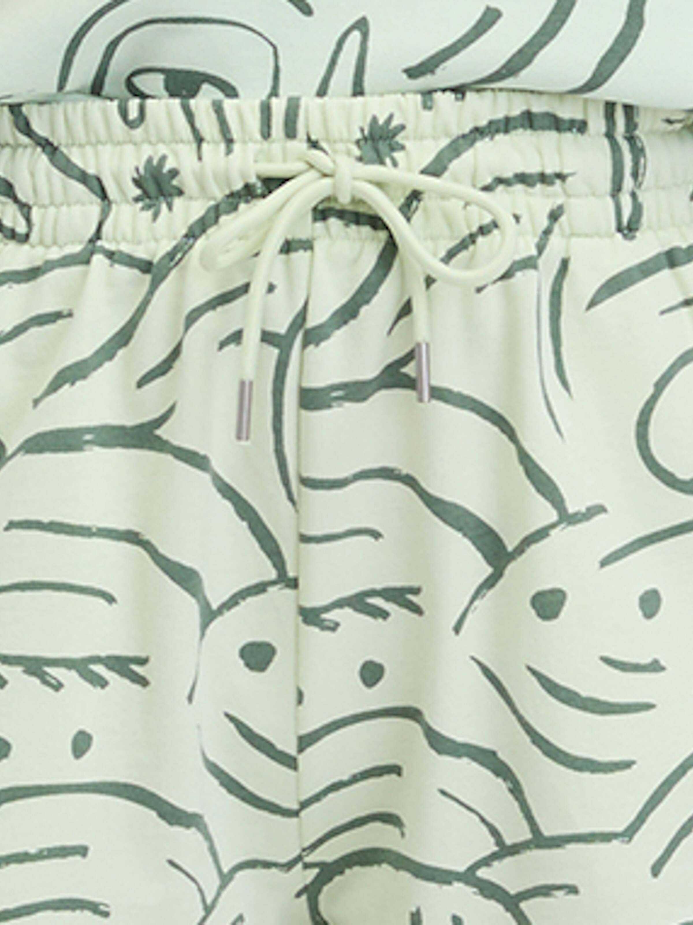 Ragwear - regular Pantalón 'Aniku' en verde