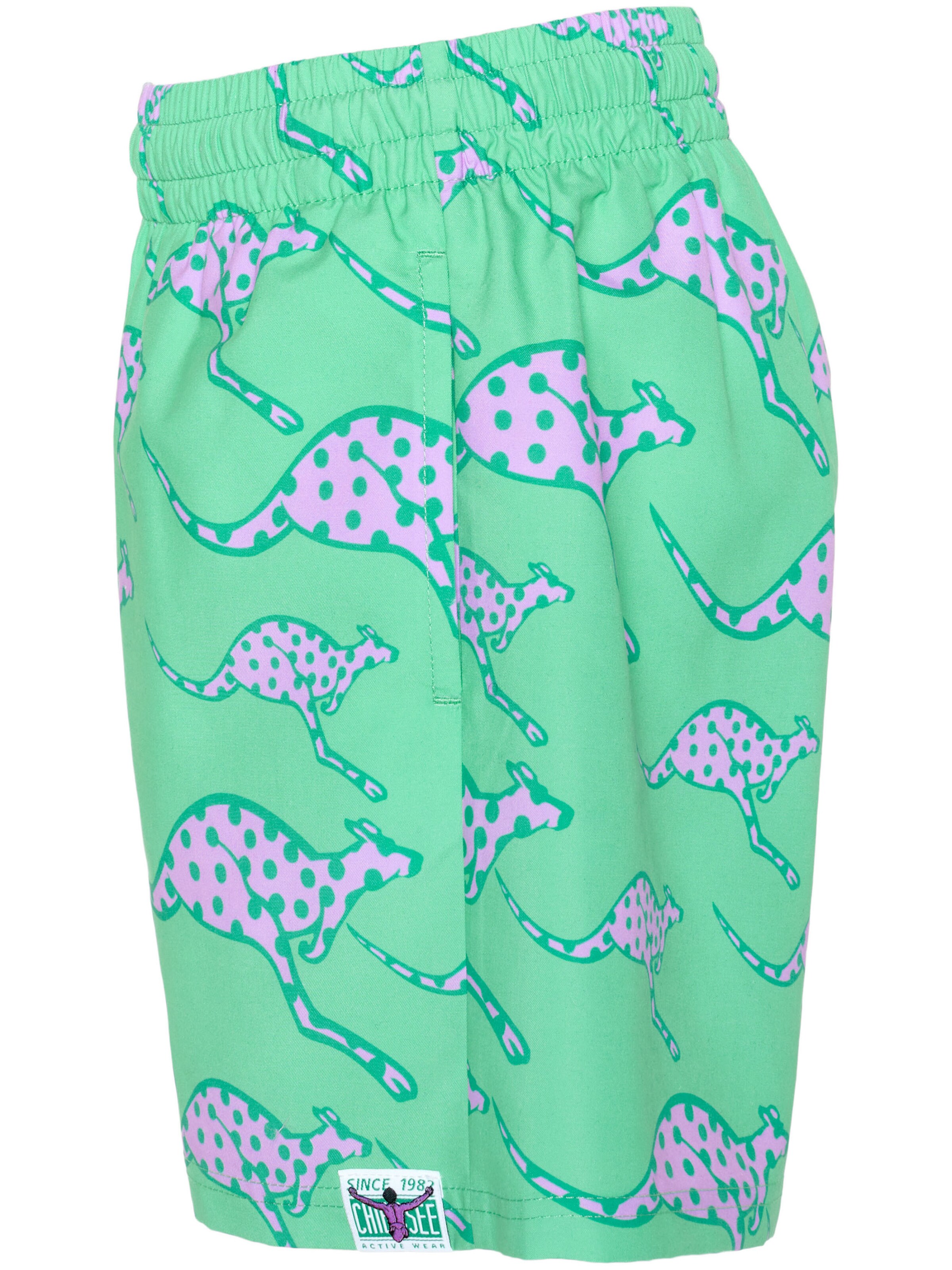 CHIEMSEE Athletic Swimwear in Green