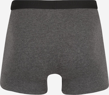 Superdry Boxershorts in Grau