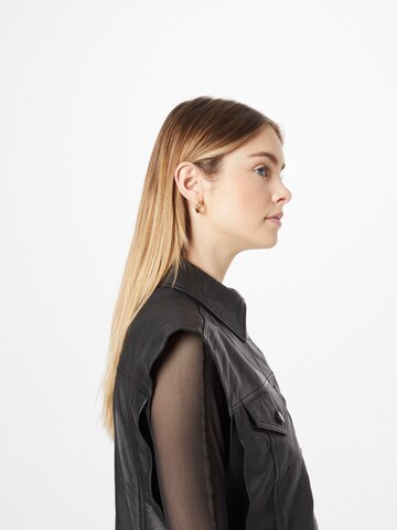 Goosecraft Bodywarmer 'Filou' in Zwart