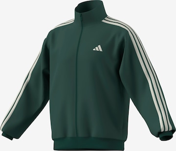 ADIDAS SPORTSWEAR Sportsweatjacke 'DAYRDY TT' in Grün: Vorderseite