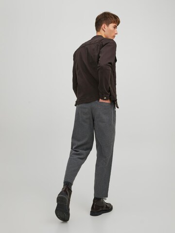 JACK & JONES - regular Pantalón plisado 'Ollie Milo' en gris