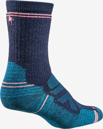 Smartwool Athletic Socks in Blue