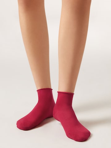 CALZEDONIA Socken in Rot: Vorderseite