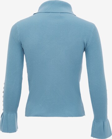 leo selection Pullover in Blau