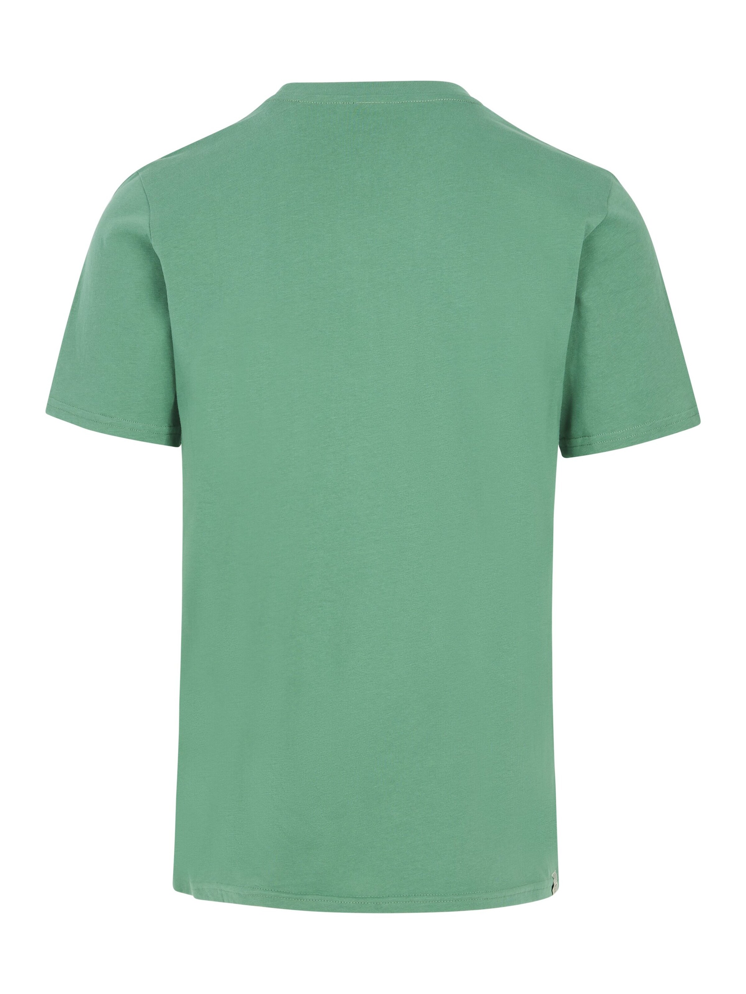 PROTEST Shirt 'PRTBarn' in Green