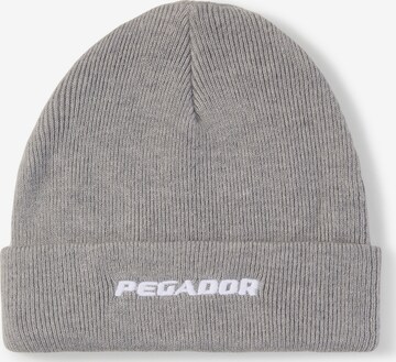 Pegador Muts in Grijs: voorkant