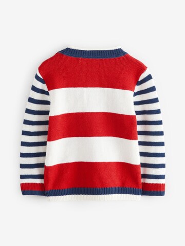 Next Pullover in Mischfarben