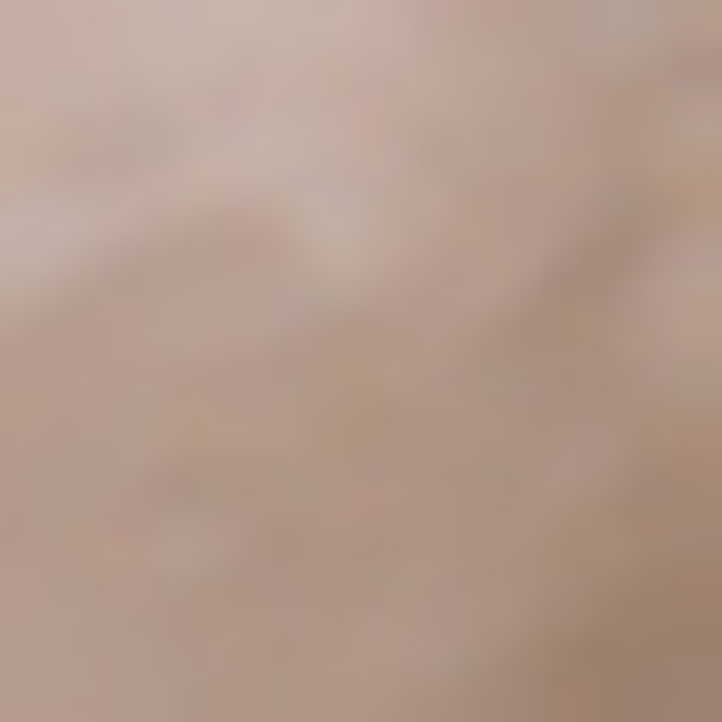 PEAK PERFORMANCE Regular Broek in Bruin