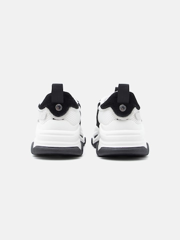 Sneaker bassa 'POSSESSION-E' di STEVE MADDEN in bianco