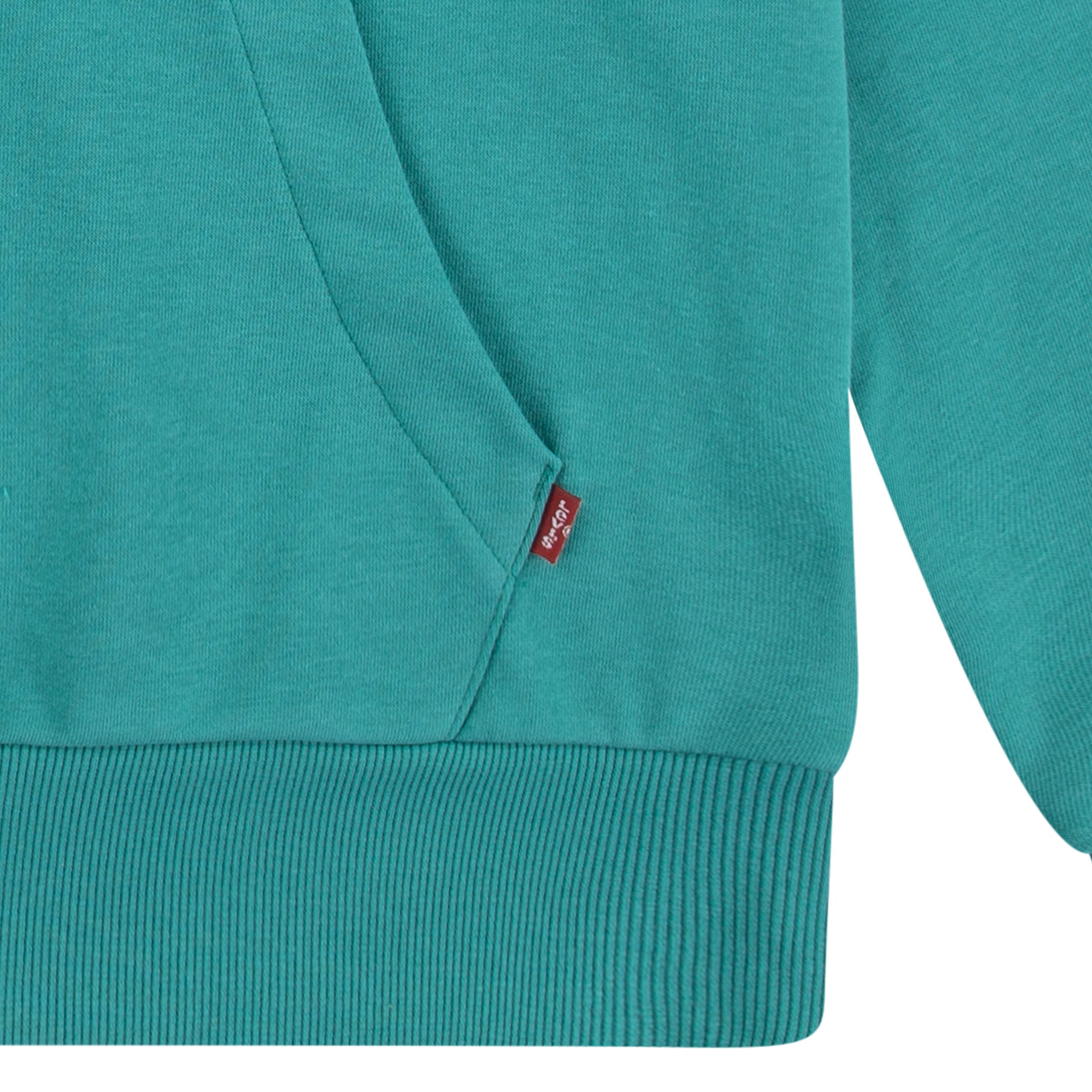 Levi's Kids Regular fit Μπλούζα φούτερ σε πράσινο