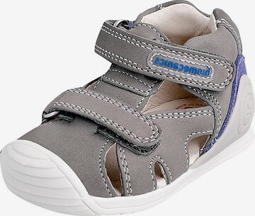 biomecanics Slippers in Grey: front