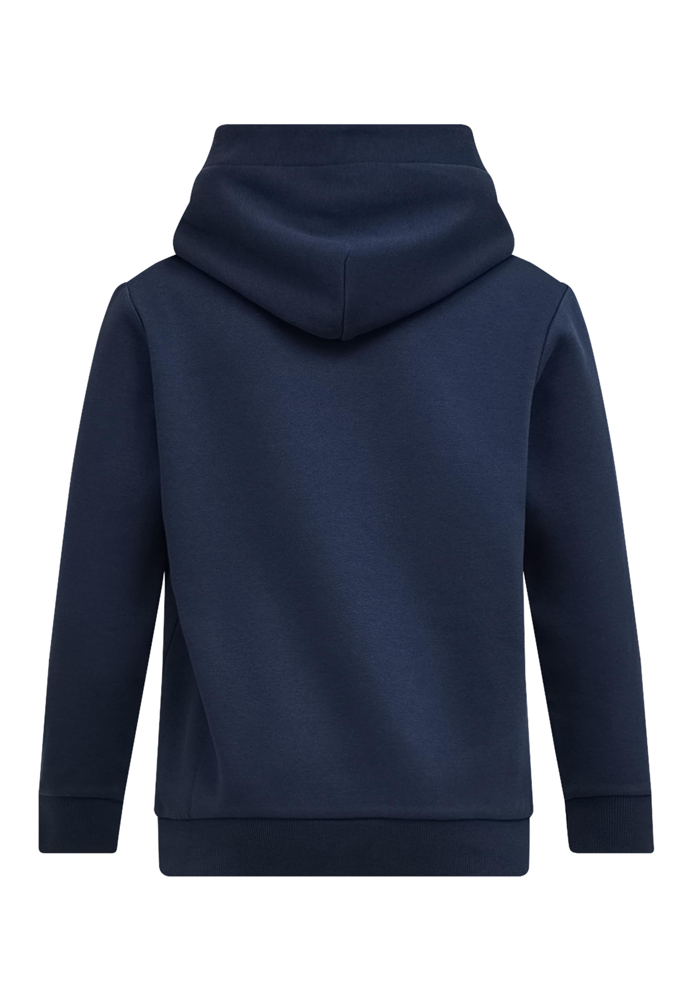 PEAK PERFORMANCE Sportsweatshirt in Blauw