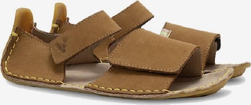 Vivo Barefoot Sandaalit 'ABABA II' värissä ruskea: etupuoli