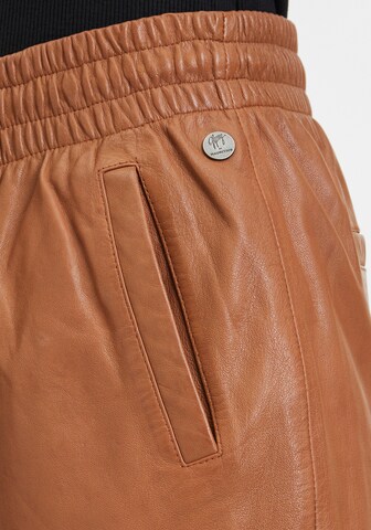 Gipsy Tapered Hose in Braun