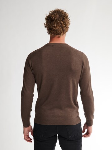 Pullover di Petrol Industries in marrone