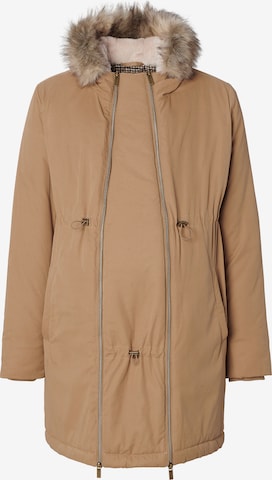 Noppies Winter Parka 'Frankfurt' in Brown