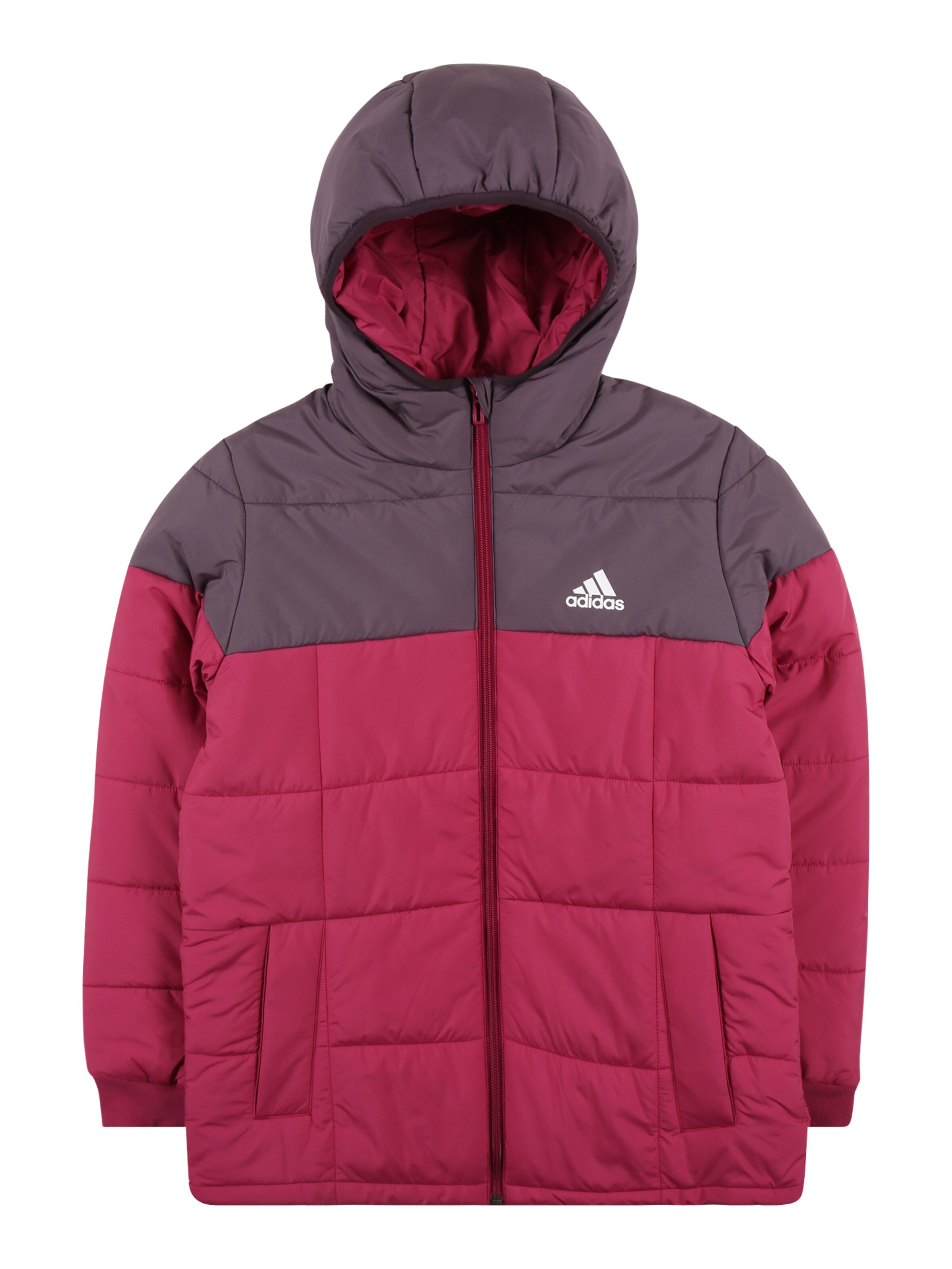 ADIDAS PERFORMANCE Kurtka outdoor w kolorze fioletowy: przód