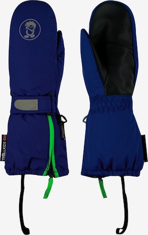 TROLLKIDS Gloves in Blue: front