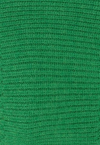 aleva Sweater in Green