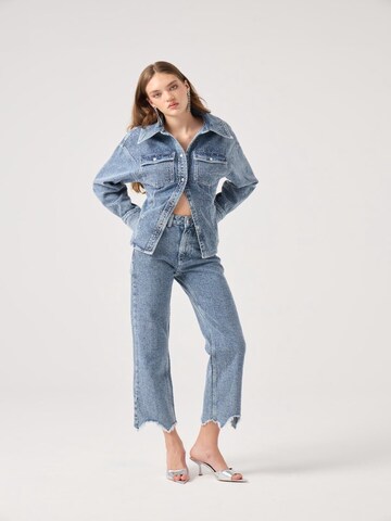 Regular Jean HOLLY LOLLY en bleu