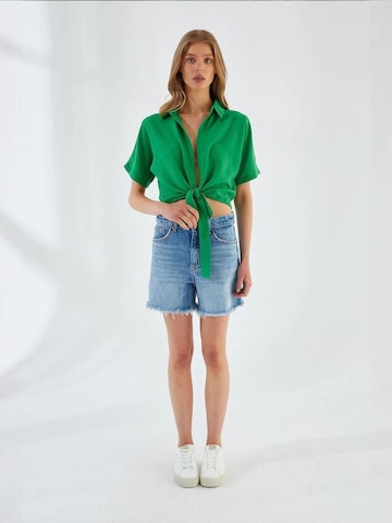 Chemisier MixRay en vert