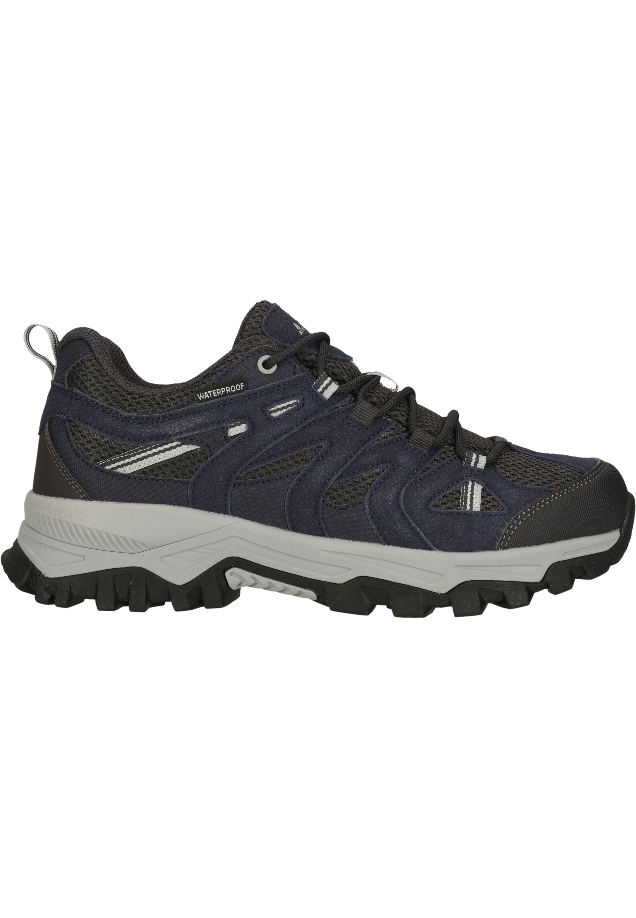 Whistler Lage schoen 'Terx' in Blauw