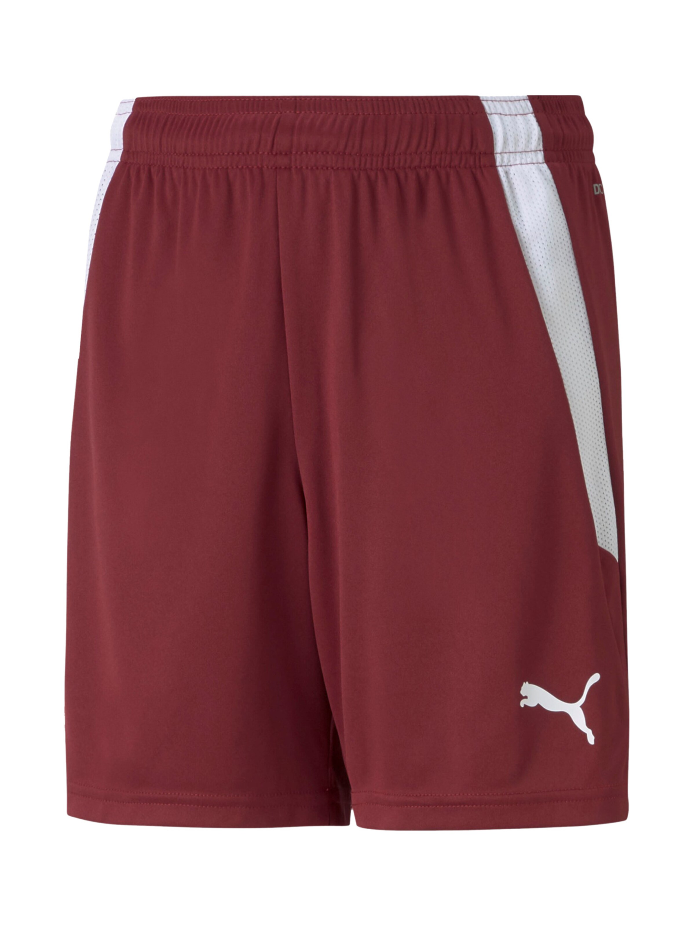 PUMA Sports trousers 'TeamLiga' in Red: front