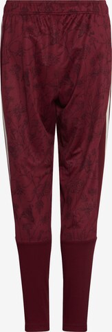 FC BAYERN MÜNCHEN Tapered Workout Pants 'FC Bayern München' in Red