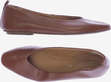 NEXT Flats & Loafers in 36 in Brown: front