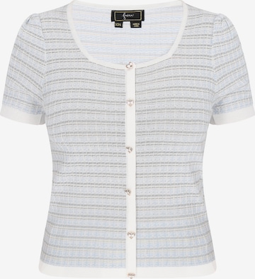 mėlyna faina Kardiganas 'Fashion Look': priekis