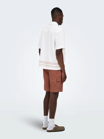 Only & Sons - Regular Calças cargo 'ONSKAL' em castanho