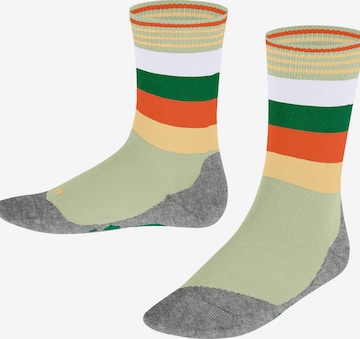 FALKE Socks 'Active Fox' in Green: front