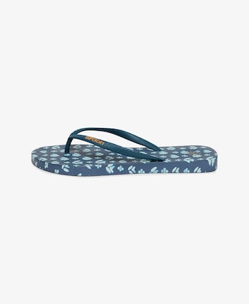 Superdry & Co Teenslipper in Blauw