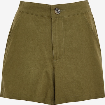 Threadbare Regular Shorts 'Cactus' in Grün: predná strana