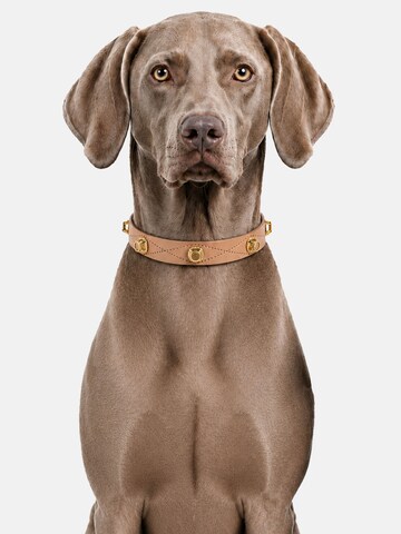 Unleash Cph Halsband in Brown