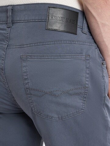 Andrew James Regular Hose in Grau
