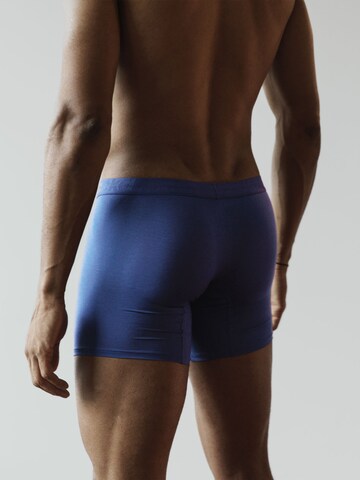 pckd – underwear done right. Boxer shorts in Blue