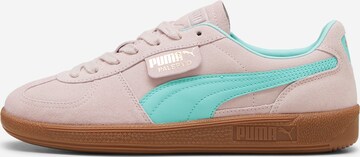 PUMA Sneakers 'Palermo' in Purple: front