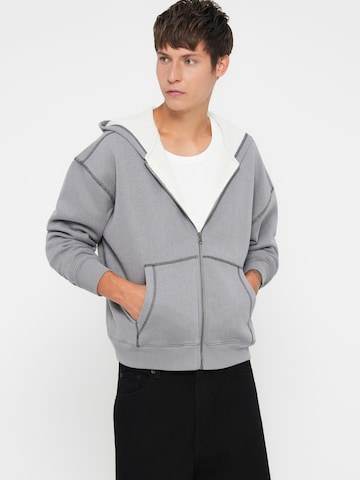 Hanorac de la HOLLISTER pe gri