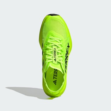 Chaussure basse 'Agravic Speed Trai' ADIDAS TERREX en vert