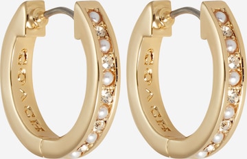 COACH Earrings in Gold