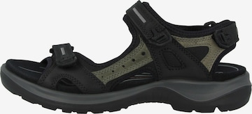 ECCO Wandelsandalen 'Offroad' in Zwart: voorkant