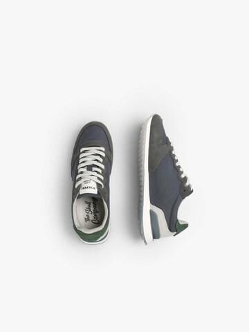Scalpers Trainers 'Skull Insignia' in Blue